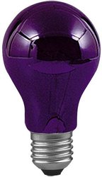 Lampa serwisowa 75W E27 Paulmann 59070, E-27, (Ø x D) 55 mm x 95 mm