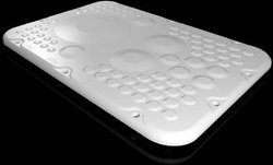 Grzbiet płyty Rittal AX 2565.300 (D x S) 221 mm x 301 mm tworzywo sztuczne 1 szt.