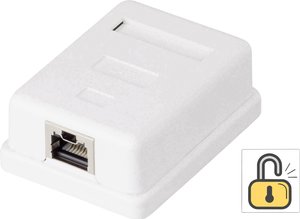 Gniazdo sieciowe Renkforce KSV-ND10 RF-4473849, 1 Port, CAT 6, nadtynkowy