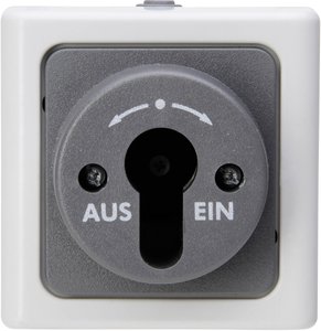 Przełącznik kluczykowy Komplet Kopp BlueElectric 561756017, szary