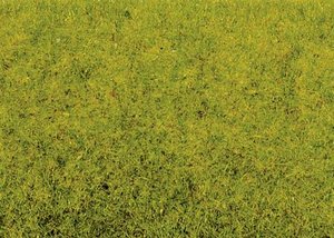 Podłoże trawiaste, NOCH 50210, 100 g, wiosenna łąka