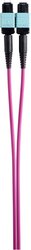 Kabel światłowodowy Renkforce RF-4299542, złącze męskie MPO, złącze żeńskie MPO, 1.00 m