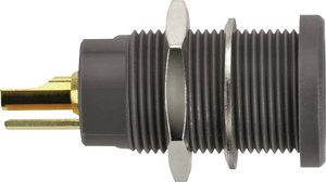 Schützinger DI KBU 7992 L Au / SW Gniazdo do zabudowy Kelvin 1 szt.