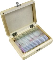 Bresser gotowe preparaty biologiczne: Zwierzęta Zestaw eksperymentalny Bresser Optik  5986000