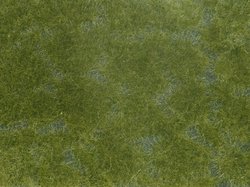 NOCH 07252 Runo leśne Architektura krajobrazu ciemnozielony