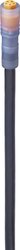 Kabel połączeniowy czujnika/aktuatora Lumberg Automation RKM 5-506/2 M 934871019-1, piny: 5, 2.00 m, 1 szt.